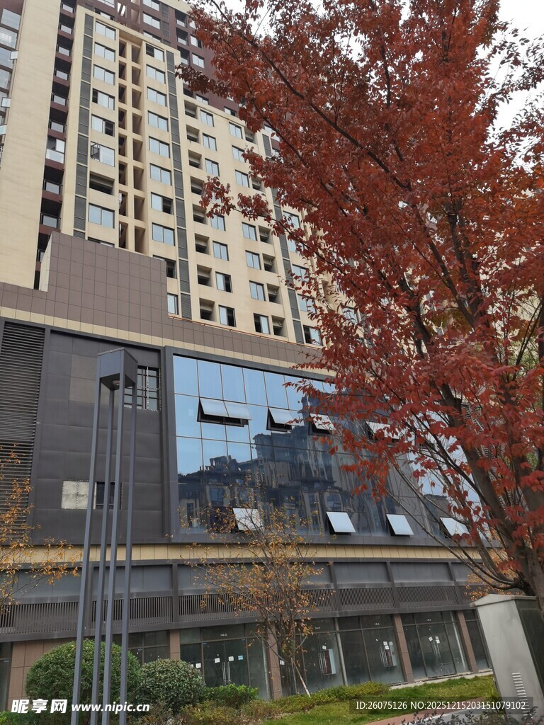 现代高层住宅与红叶景观