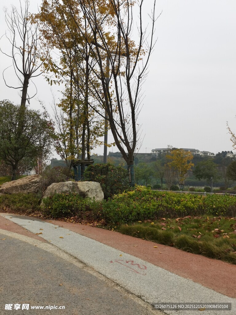 城市路边的绿植与景观石