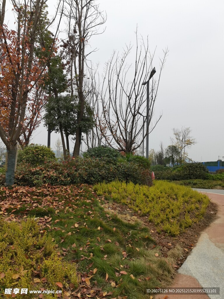 秋日公园小径景观