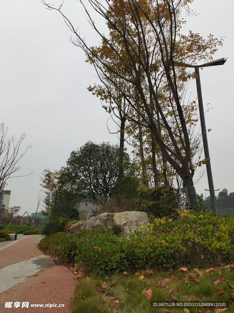 秋日公园小径风景