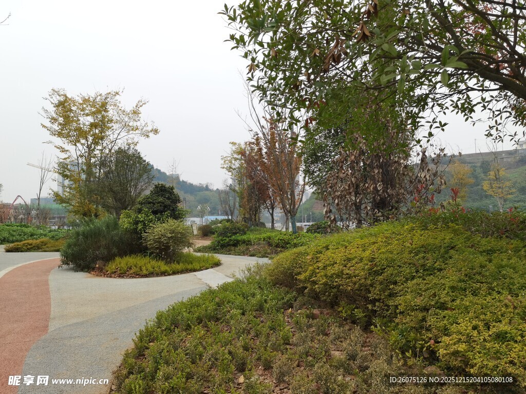 城市园林景观优美小径