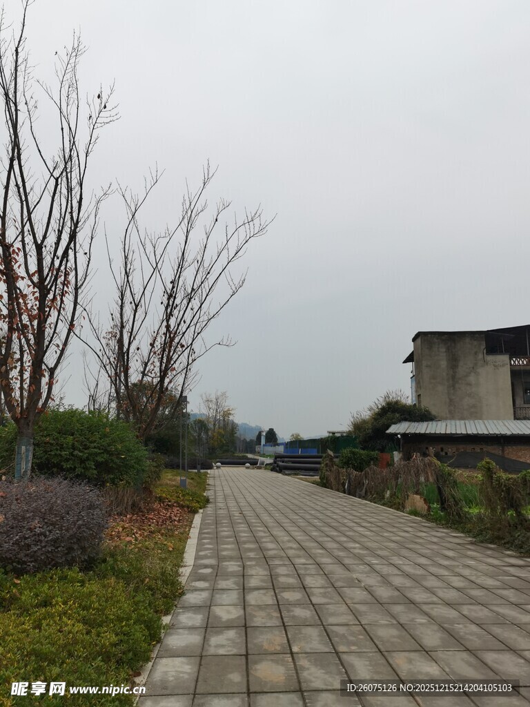 乡村石板路静谧自然景