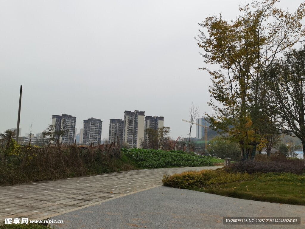 城市公园中的宁静小路