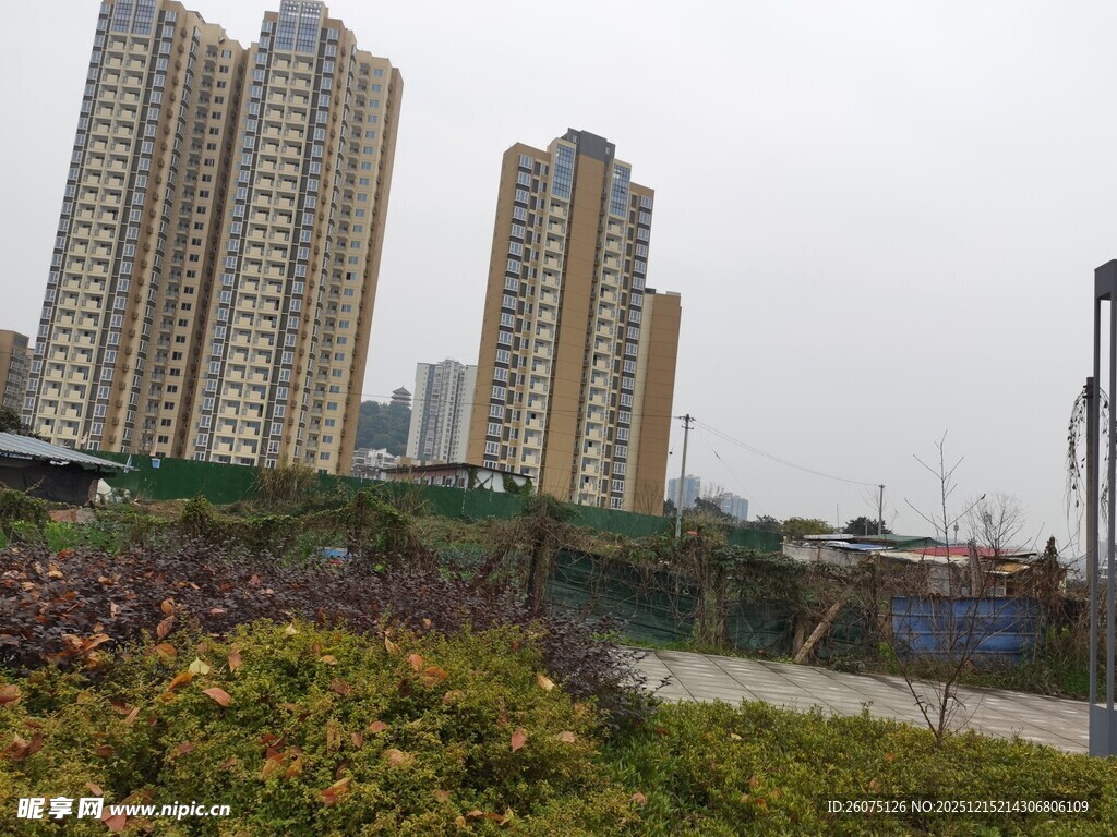 城市高楼旁的多彩绿植景观