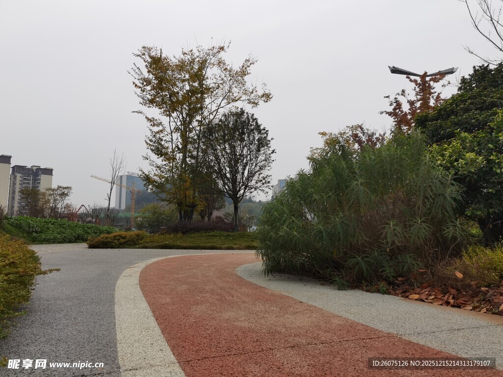 城市公园蜿蜒小径景观