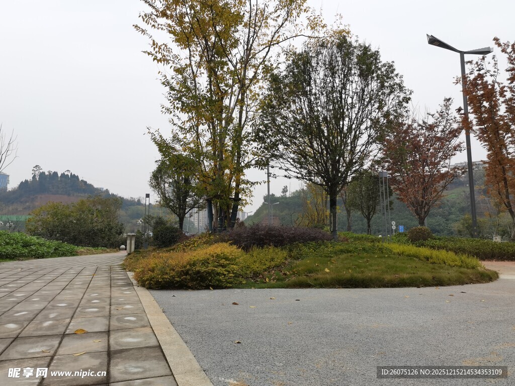 秋日公园道路景观
