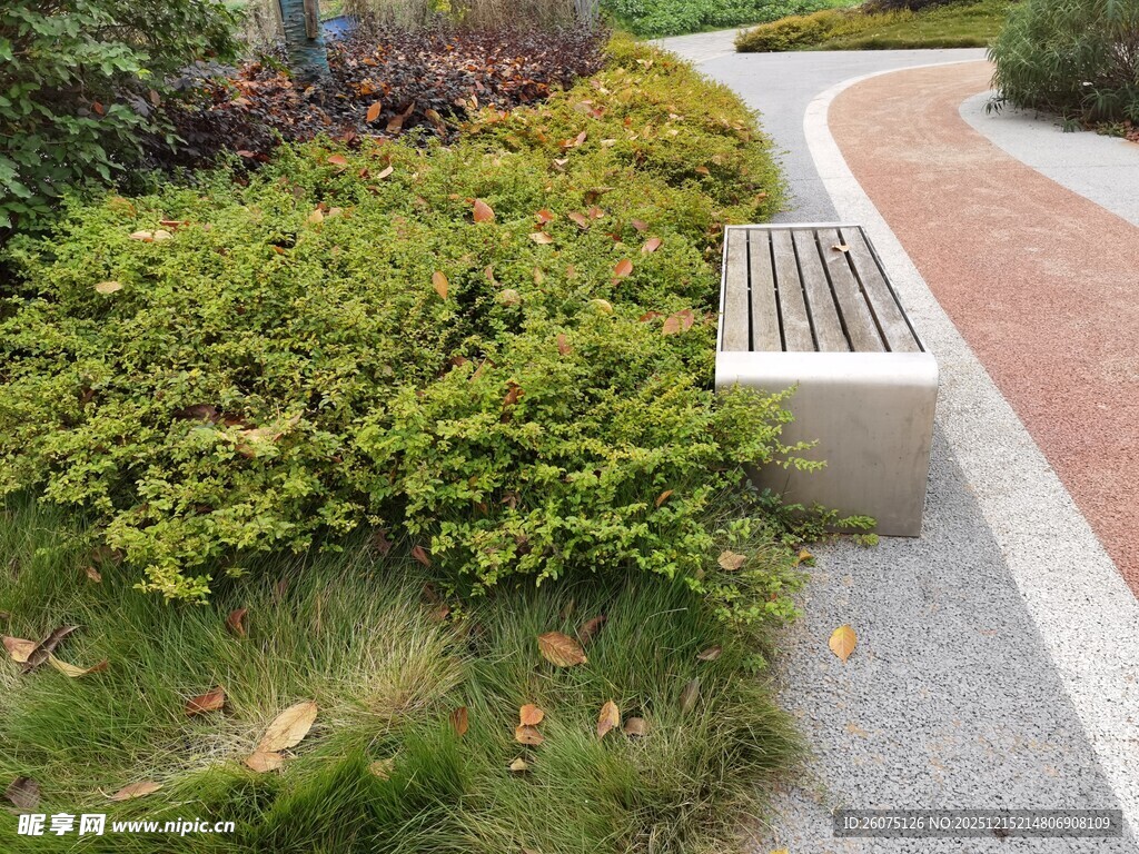 户外绿植旁的休闲长椅