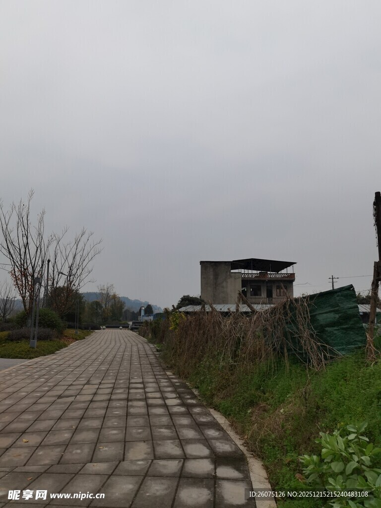 乡村小路旁的简易建筑