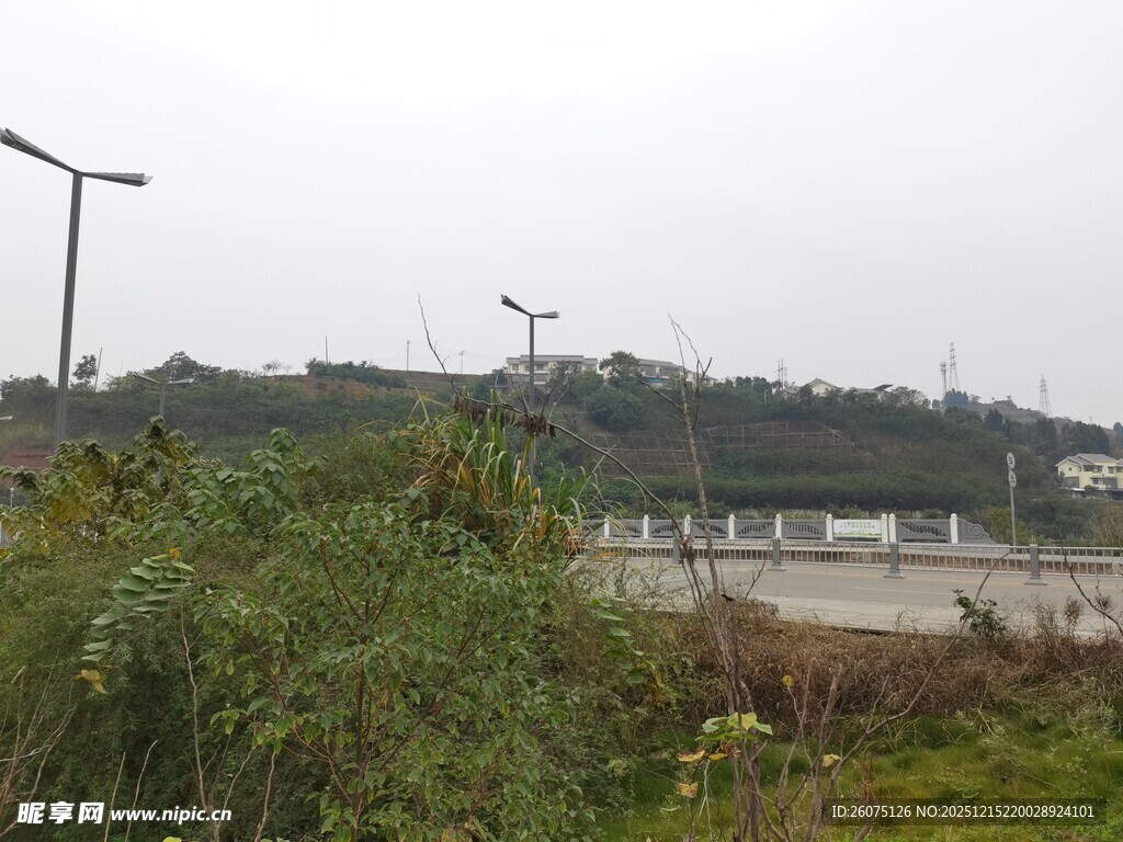 户外田野风光场景