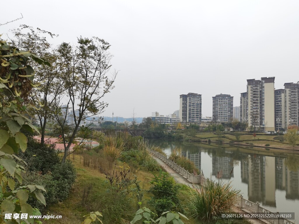 河畔绿植与林立高楼景观