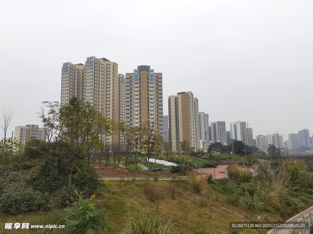 城市高楼旁的绿植景观