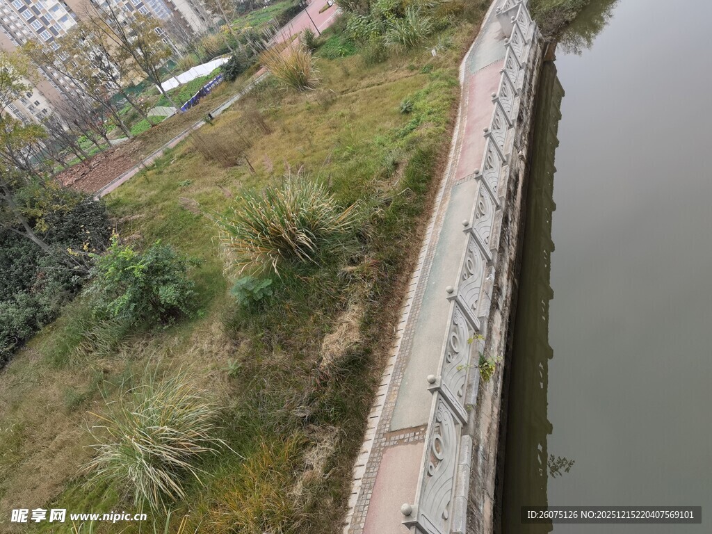 河边护栏旁的绿植景观