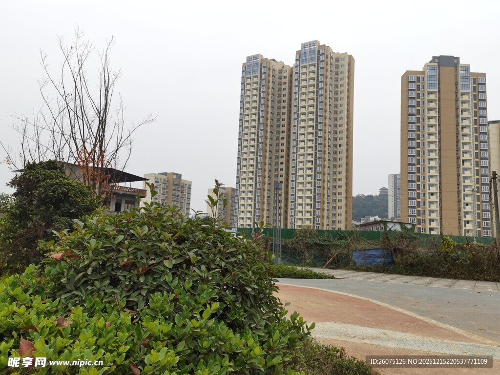 城市住宅区景观