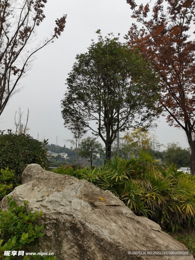 户外石景与多彩树木景观