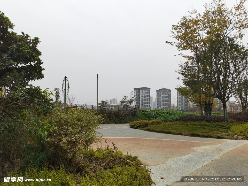 城市公园中的蜿蜒小路