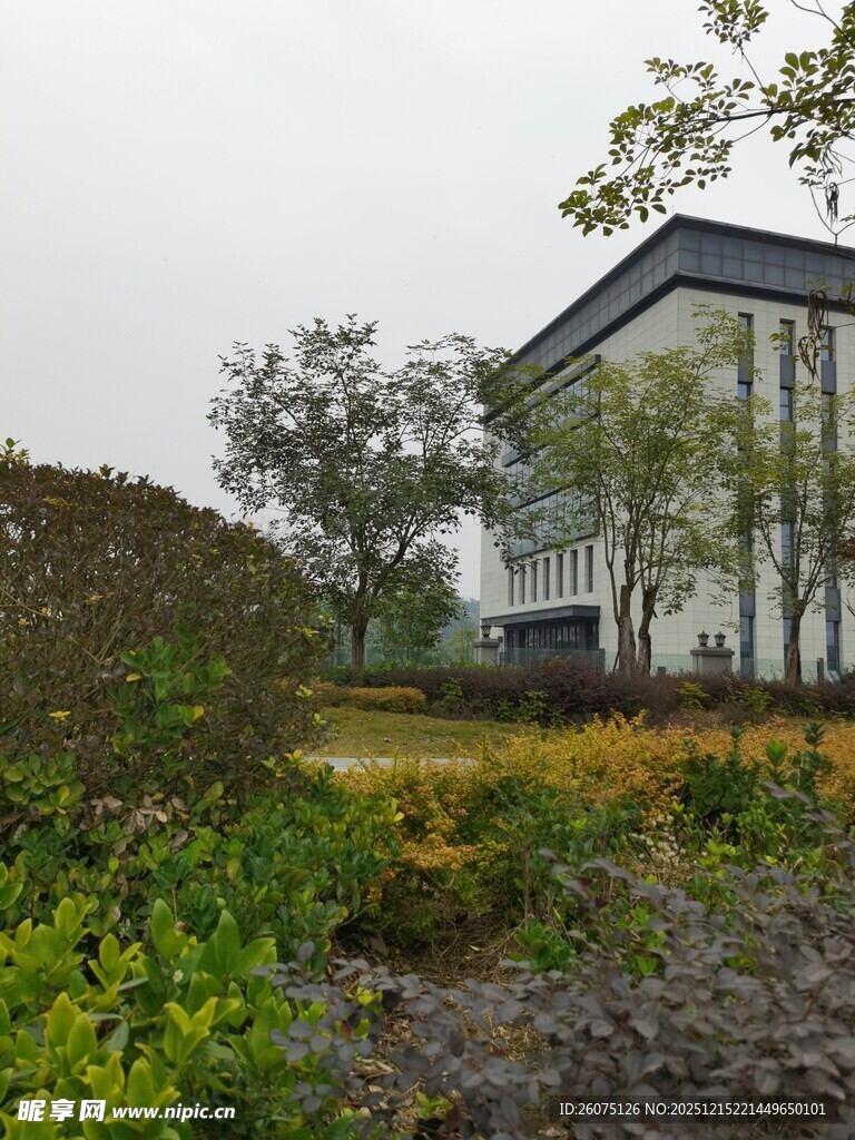 现代风格建筑与绿植景观