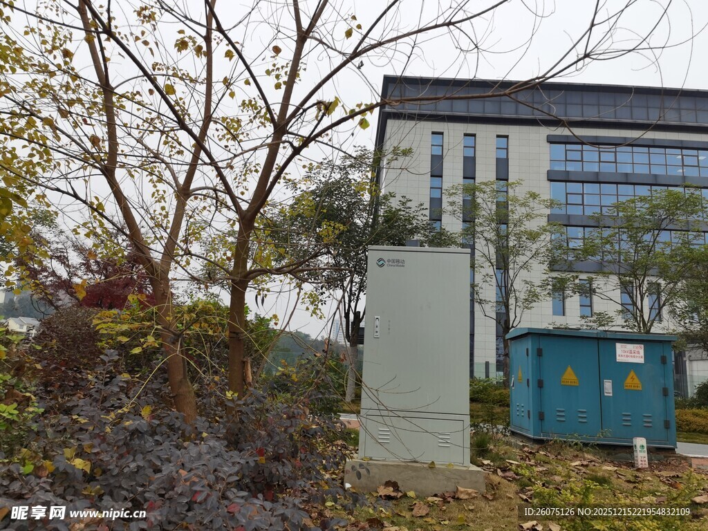 户外建筑旁的树木与设施