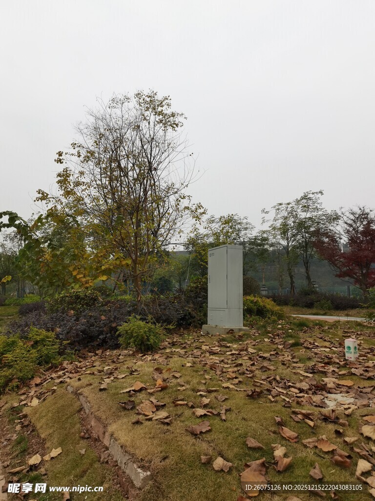 户外石碑处的秋日景象