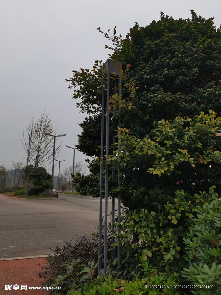 路边绿植与金属设施景观