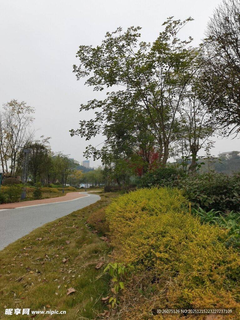 郊外蜿蜒小路旁绿植景观