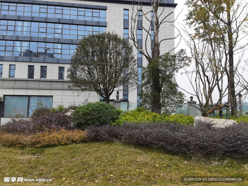 现代建筑旁的绿植景观