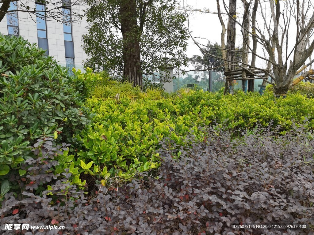 城市绿植景观一角