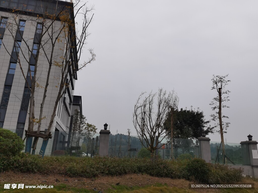 现代建筑旁的绿植景观