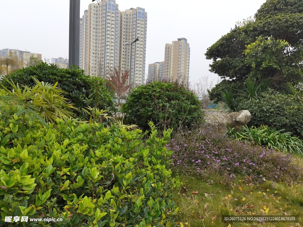 城市中的绿意盎然景观