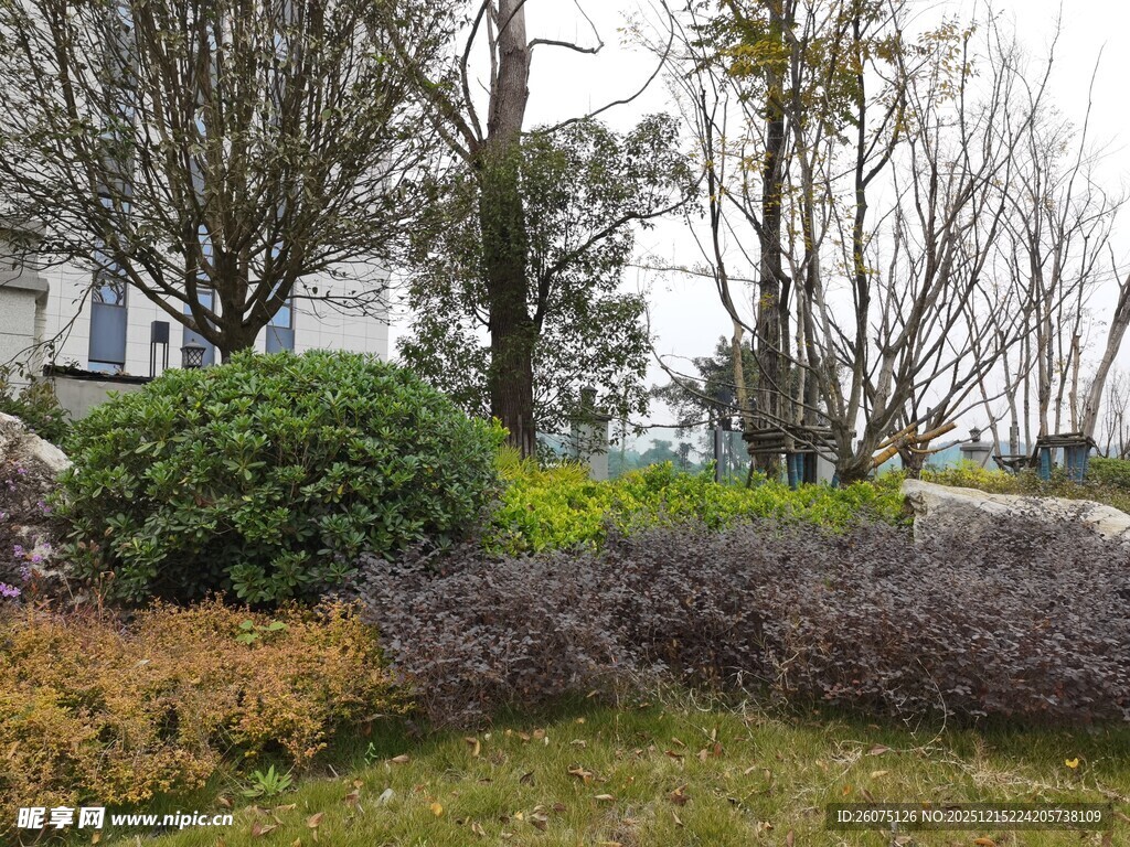 户外绿植景观一角