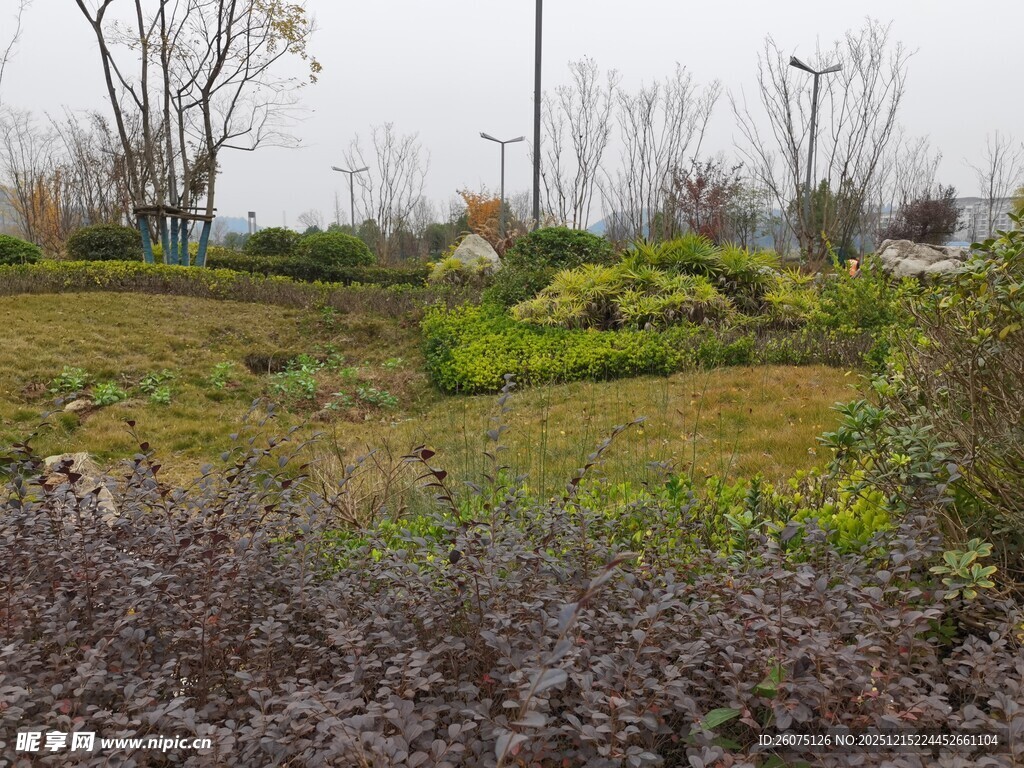 郊外绿意盎然的自然景观