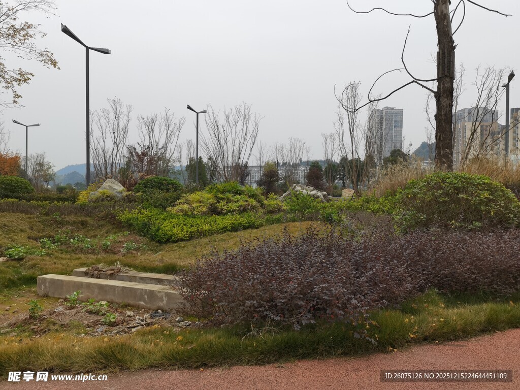 城市中的绿植景观区域