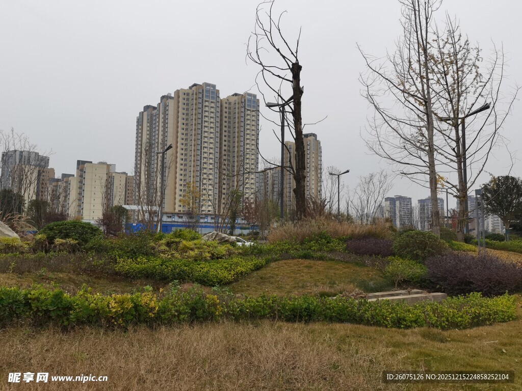 城市中的自然景观一角