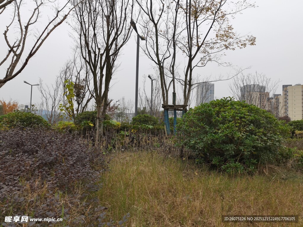 城郊野外的自然植被景观