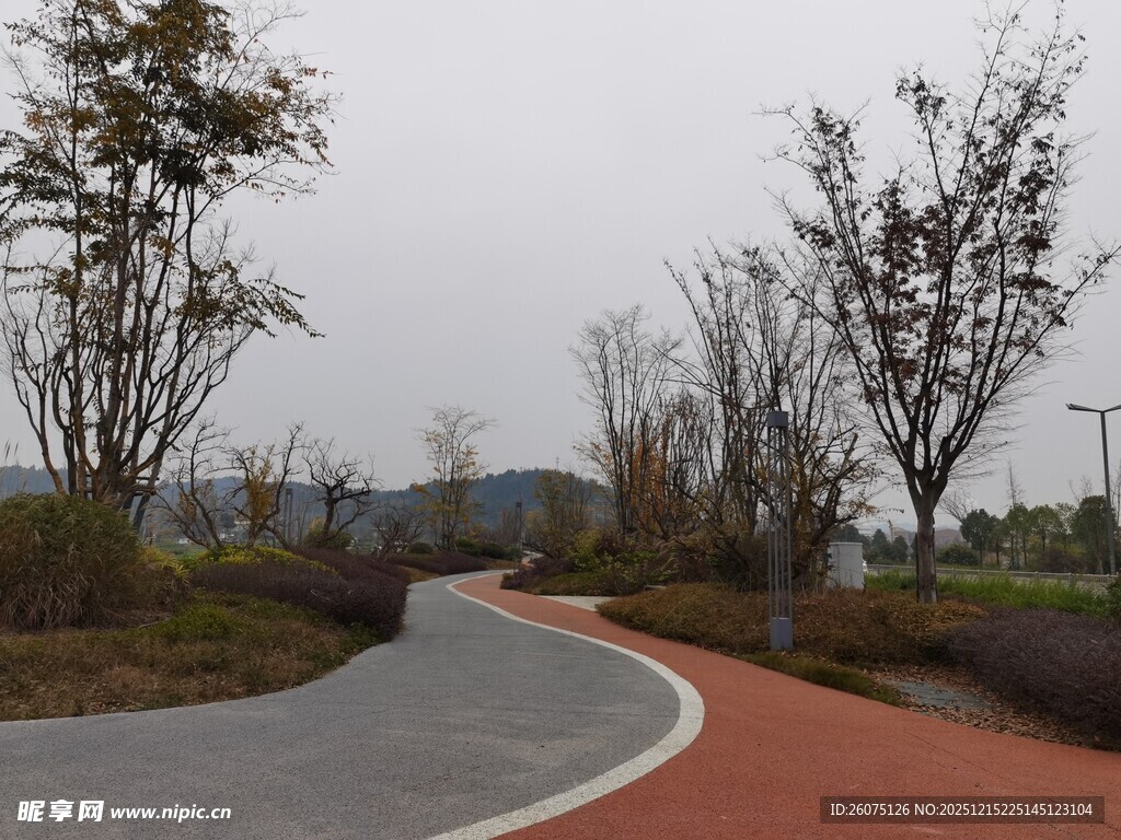 蜿蜒多彩步道自然景致