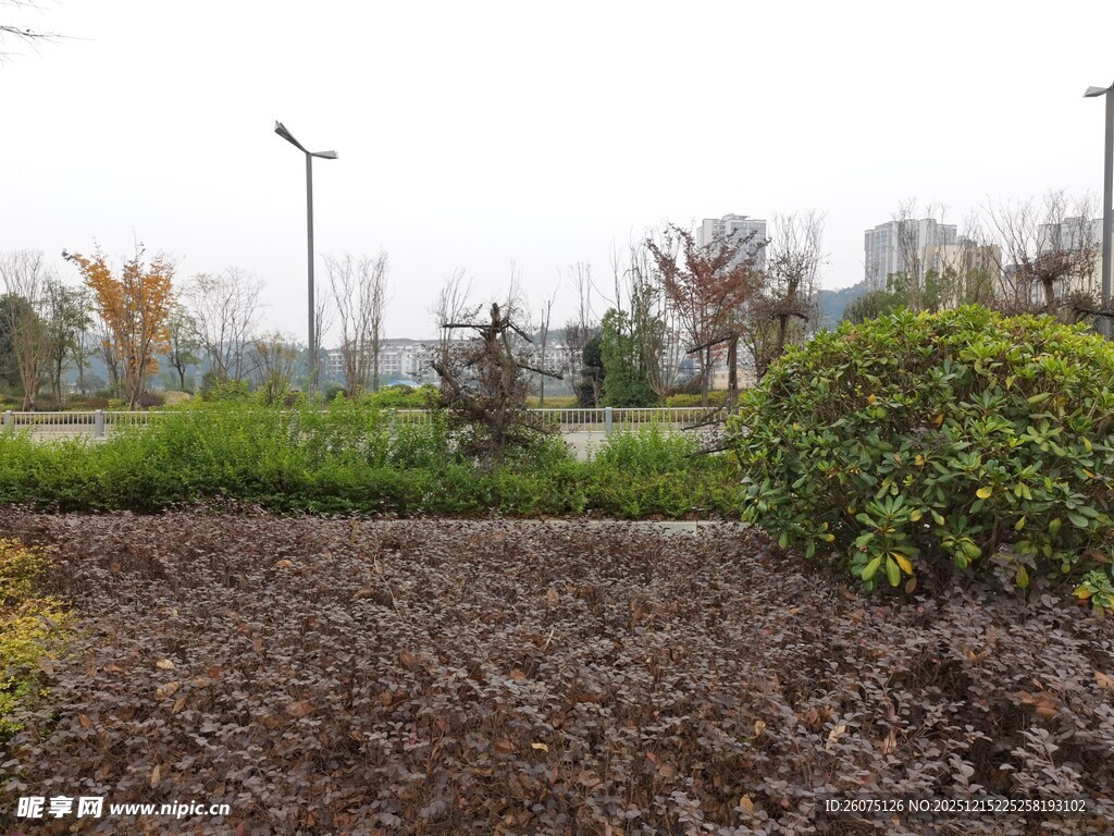 户外田园景观场景