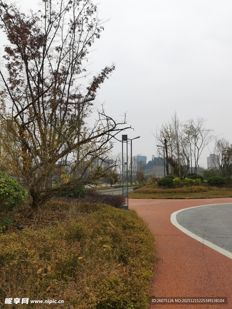 城市公园蜿蜒小径景观