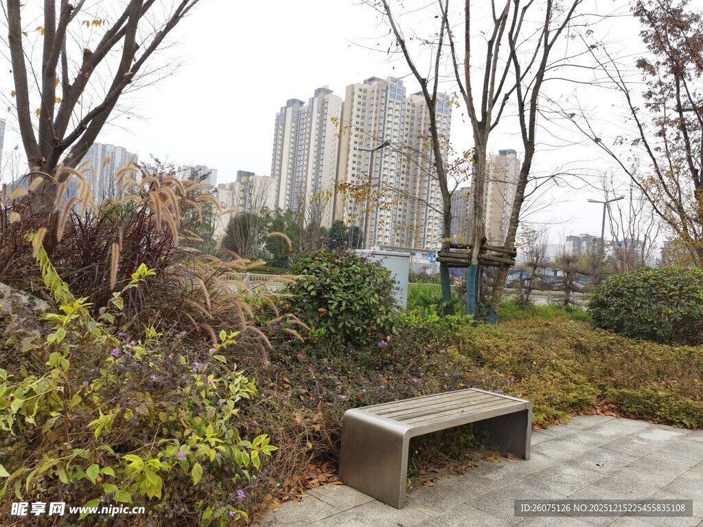 城市公园中的静谧长椅