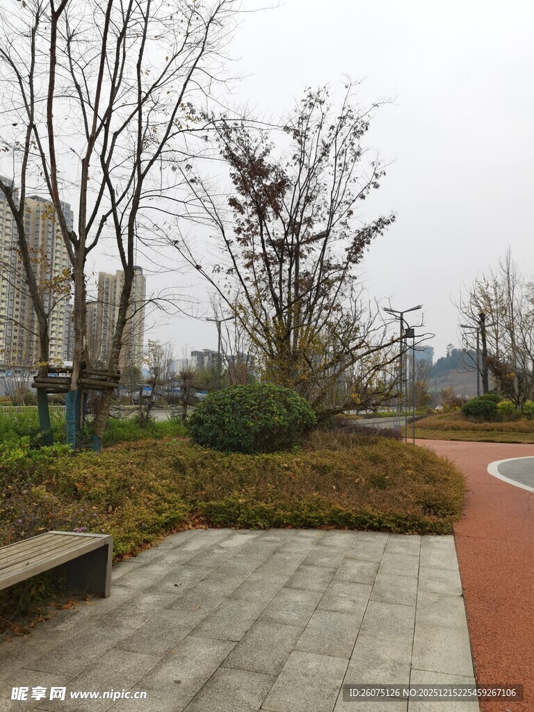 城市公园休闲景观一角