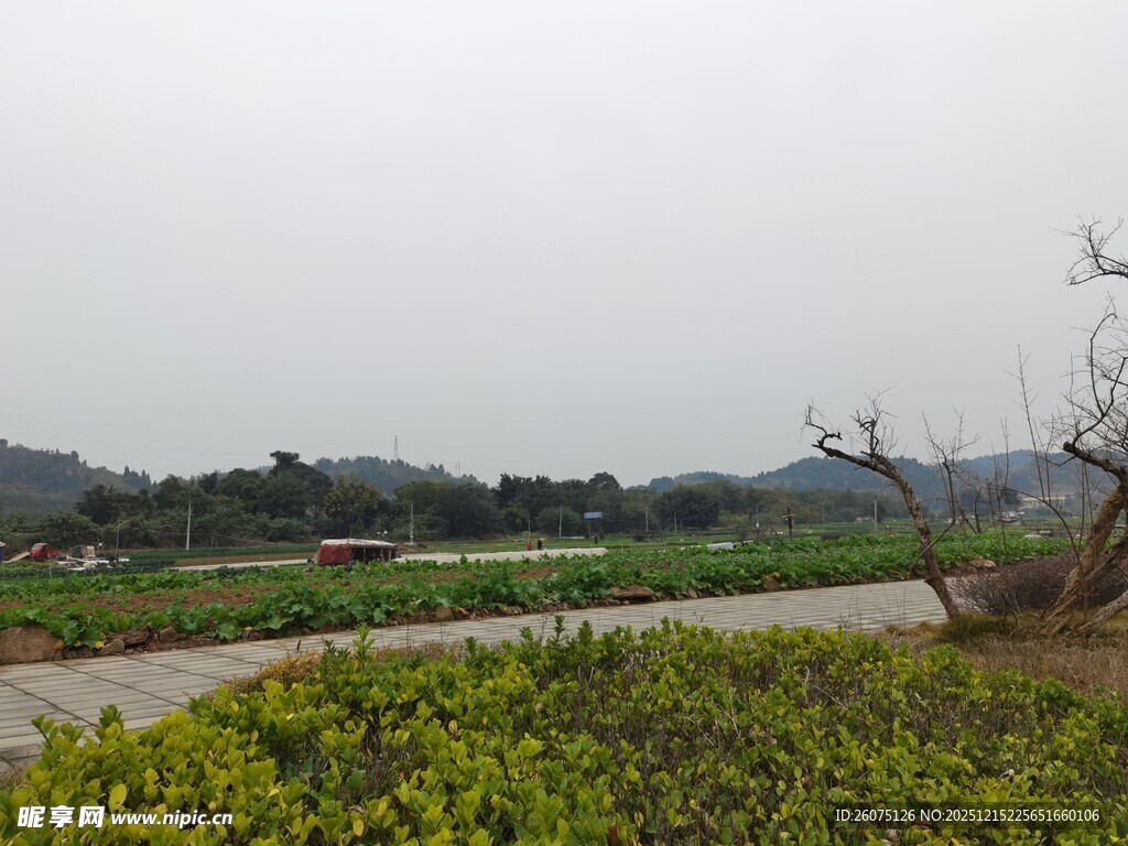 乡村田野风光景色