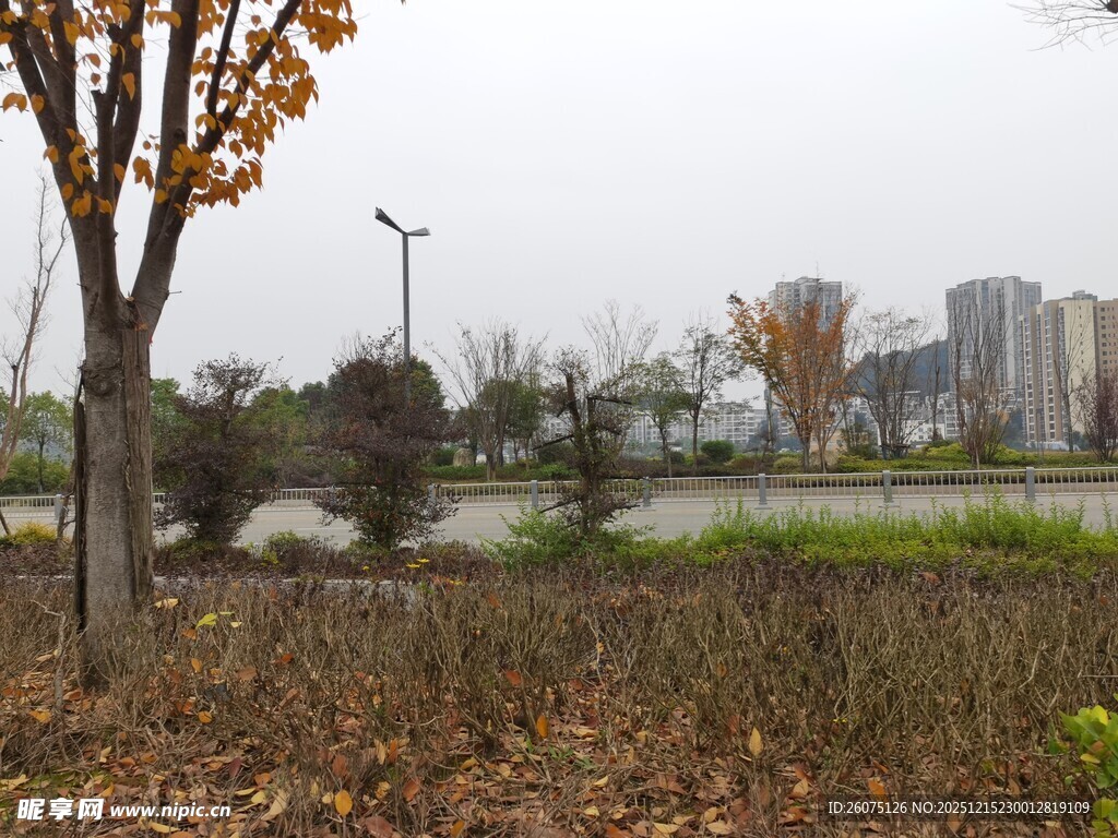 秋日城市公园萧瑟景致