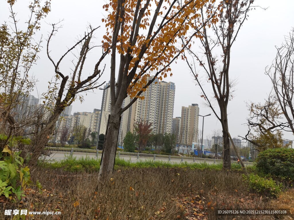 秋日城市公园萧瑟景致