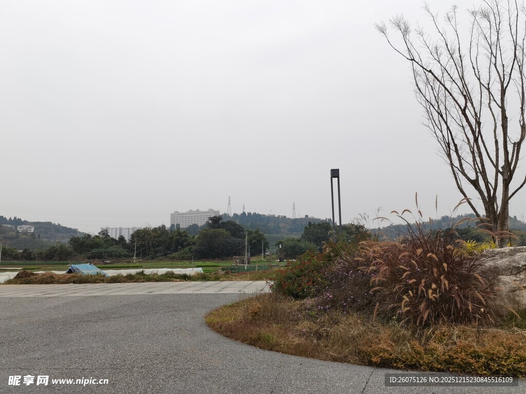 蜿蜒公路旁的自然景致