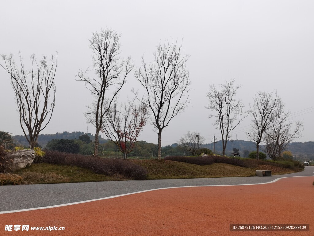 空旷红跑道旁的萧瑟树木