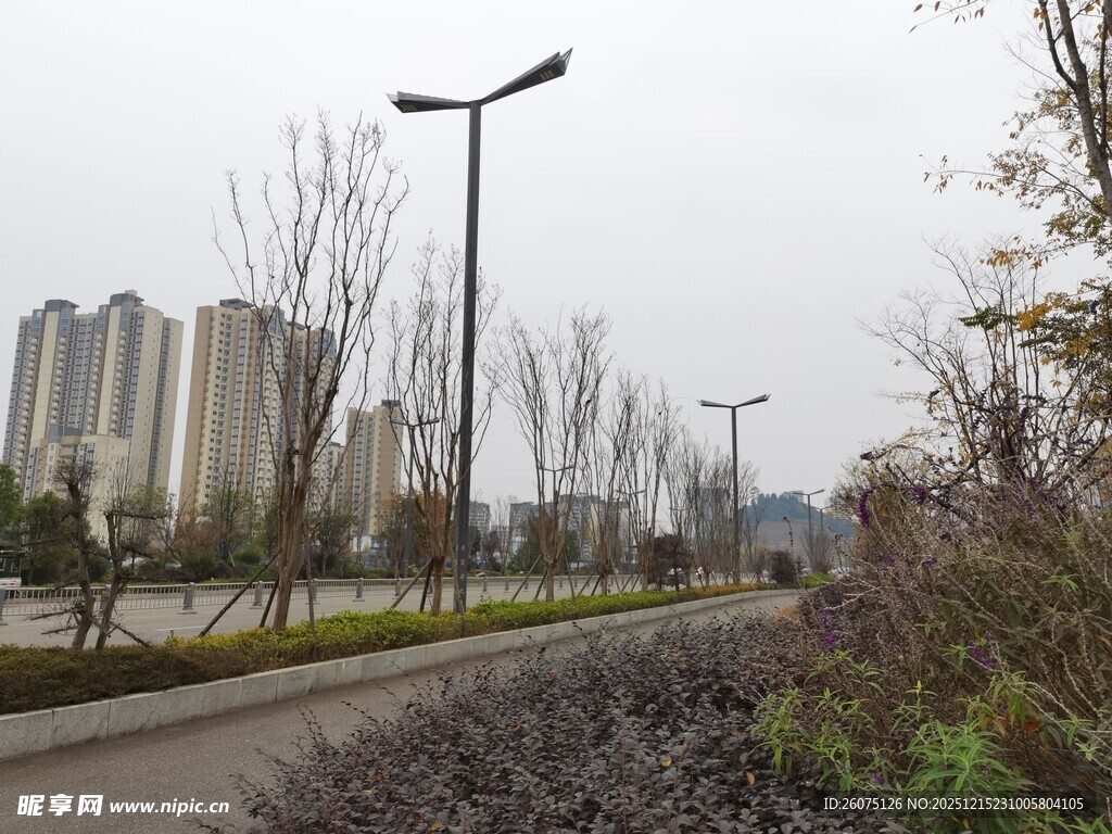 城市道路旁的现代建筑景观