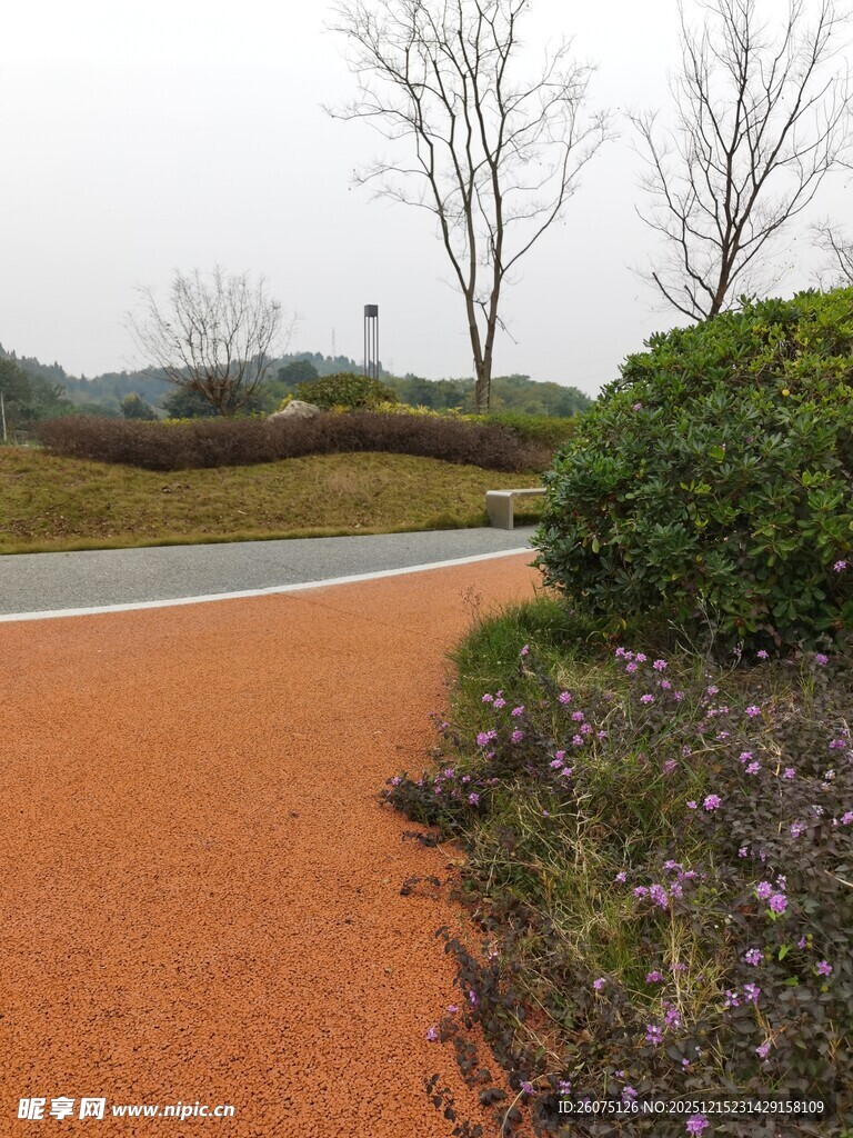 公园彩色步道与绿植景观