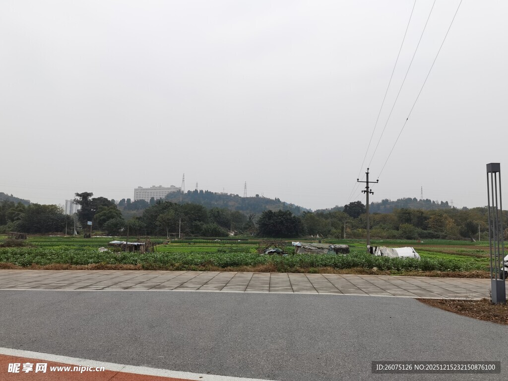 乡村公路边的开阔田野景象