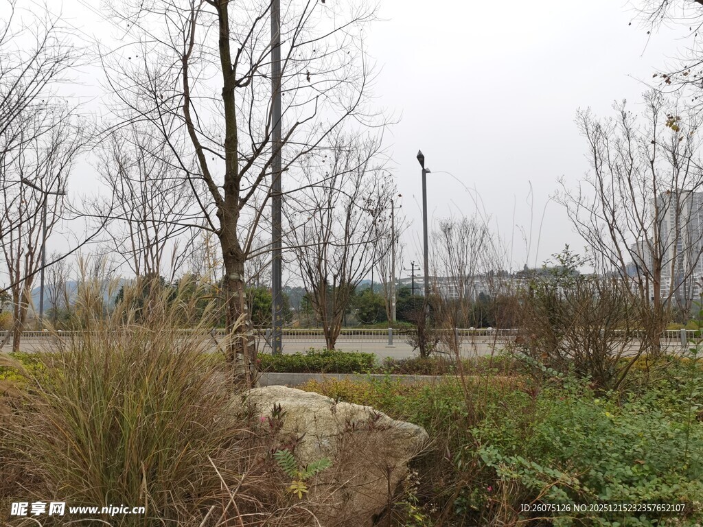 冬日城郊的萧瑟自然景致