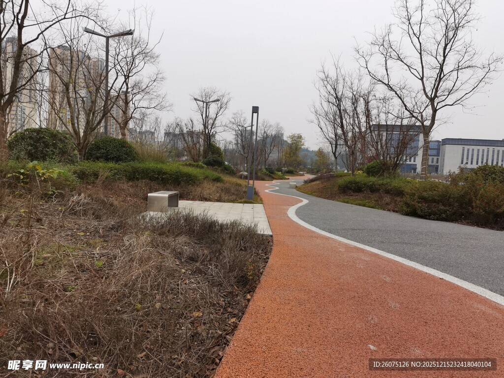 城市公园中的红色骑行道