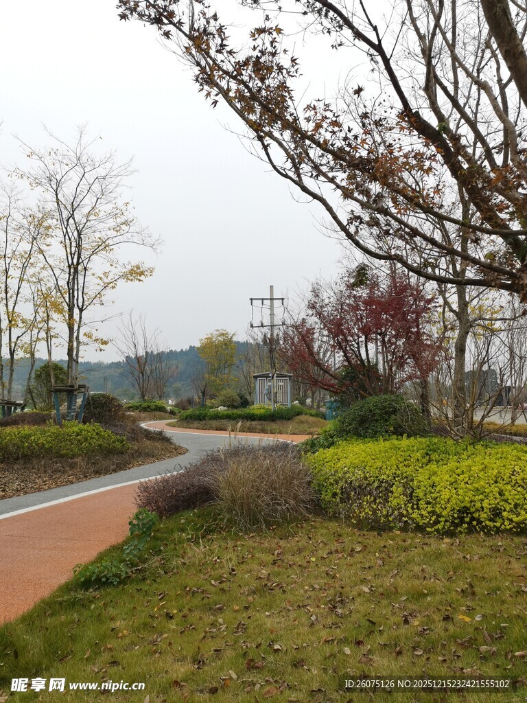 城市公园中的静谧小径