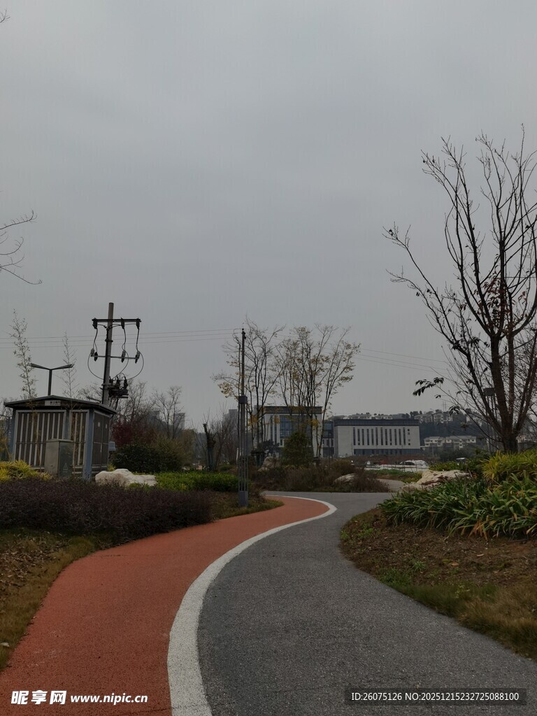 蜿蜒小路城郊静谧风光